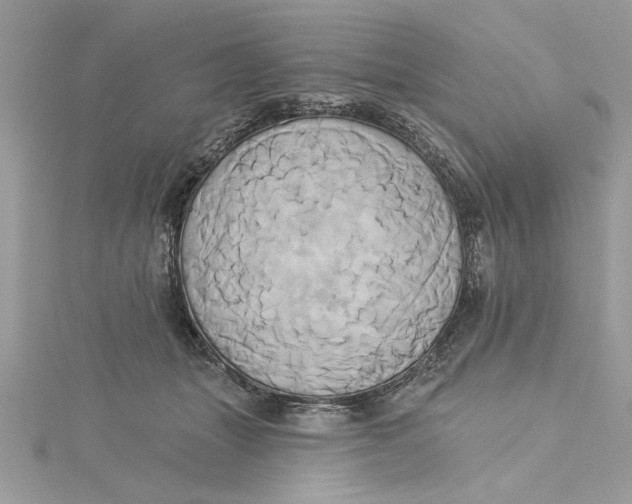 X0000115170463200911181409