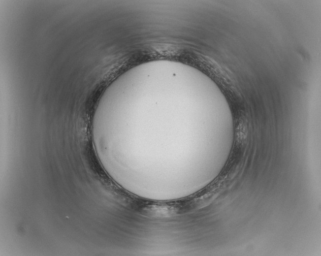 X0000115170464200911181410