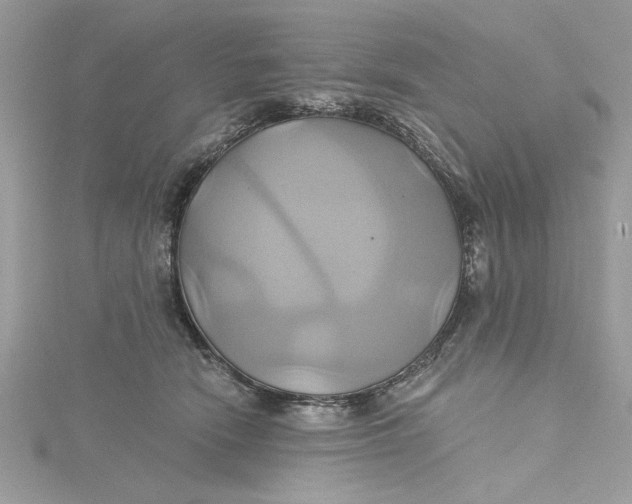 X0000115170466200911181410