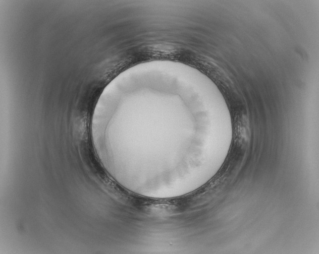 X0000115170468200911181410