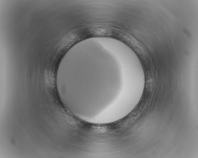 X0000115170469200911181410