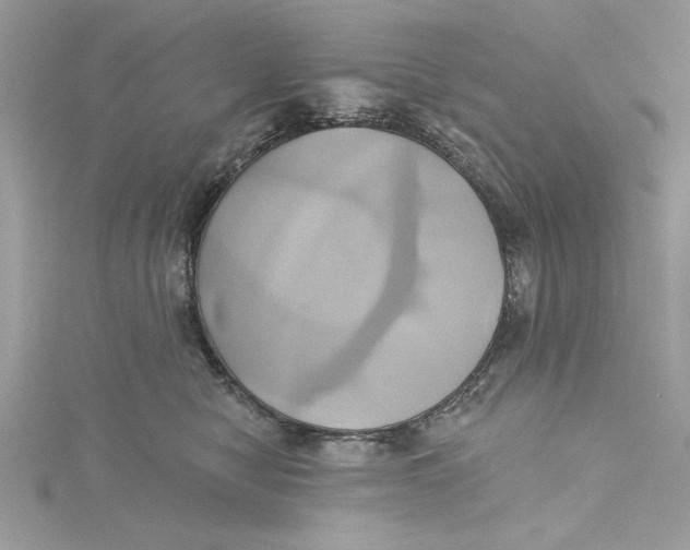 X0000115170470200911181410