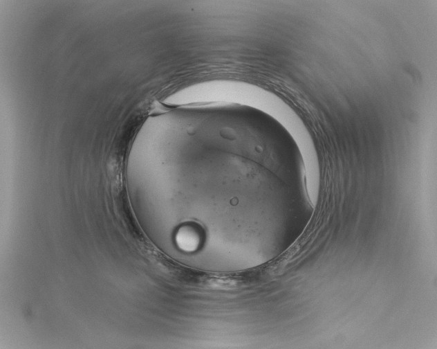 X0000115170471200911181410