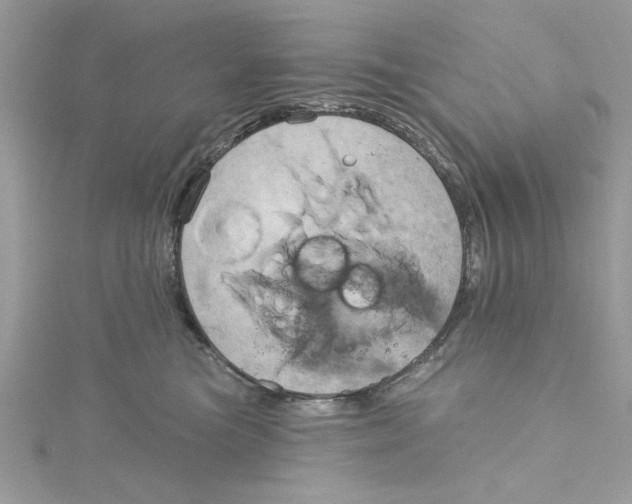 X0000115170473200911181410