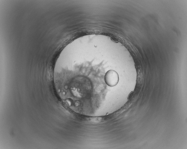 X0000115170474200911181410