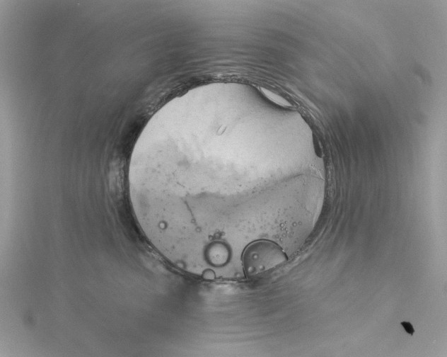 X0000115170475200911181410