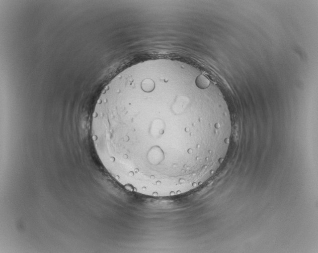 X0000115170476200911181410