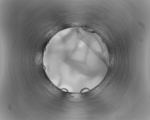 X0000115170478200911181410