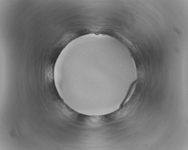 X0000115170479200911181410