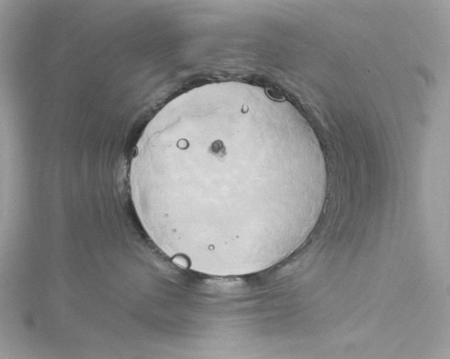 X0000115170480200911181410