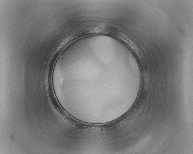 X0000115170482200911181409