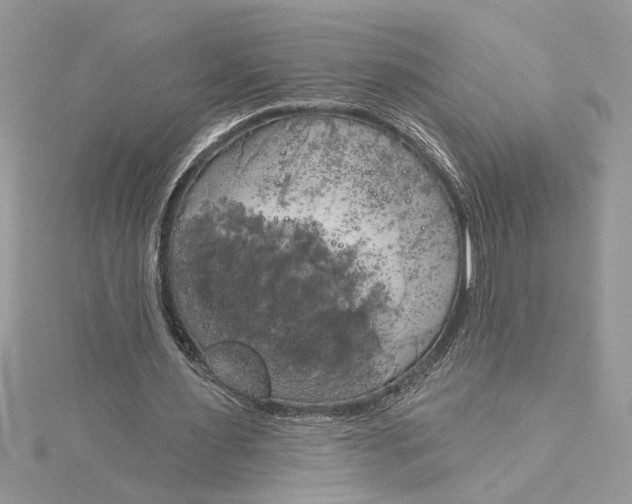 X0000115170483200911181409