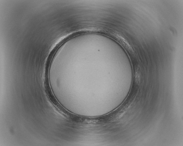 X0000115170484200911181409