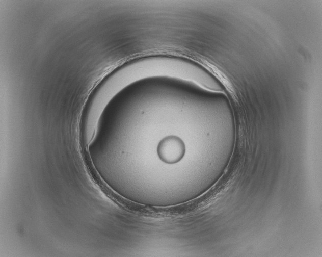 X0000115170485200911181409