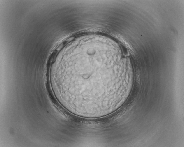 X0000115170486200911181409