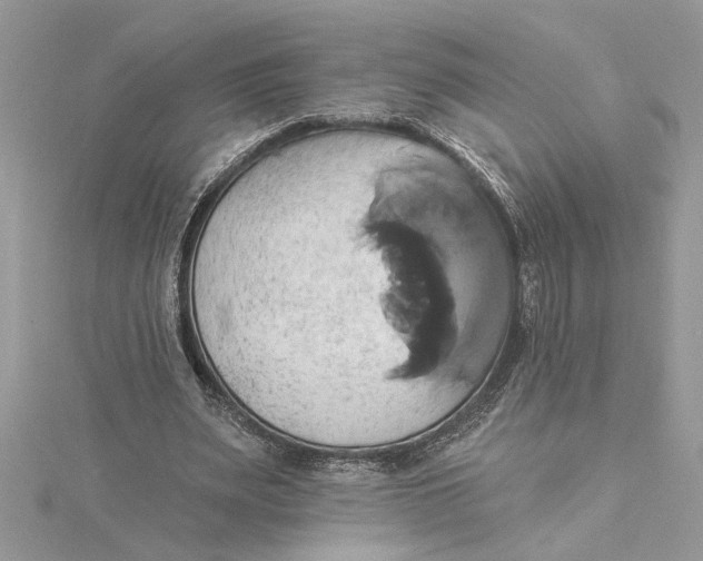 X0000115170487200911181409