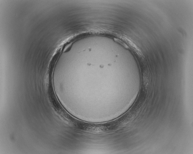 X0000115170488200911181409