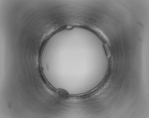 X0000115170489200911181409