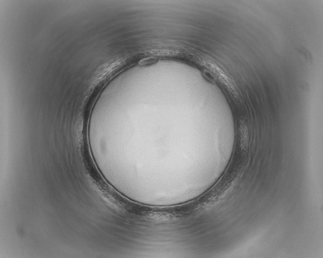 X0000115170490200911181409