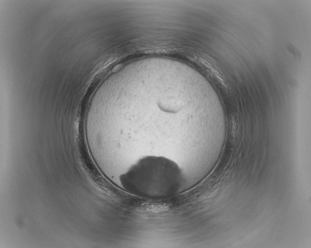 X0000115170491200911181409