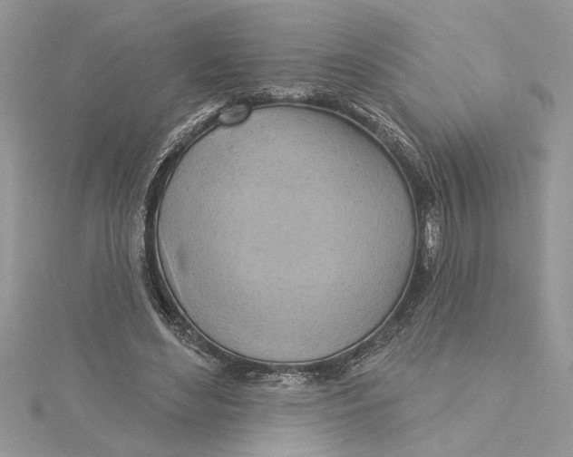 X0000115170492200911181409