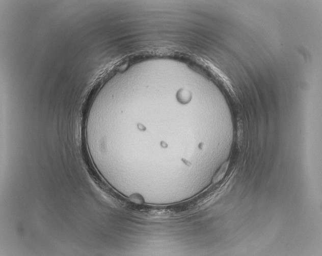 X0000115170493200911181409