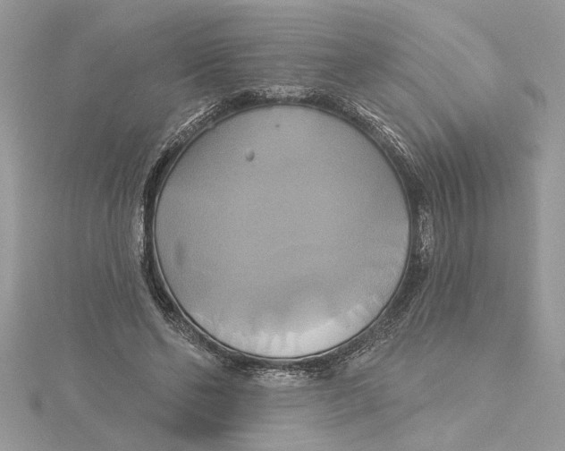 X0000115170494200911181409