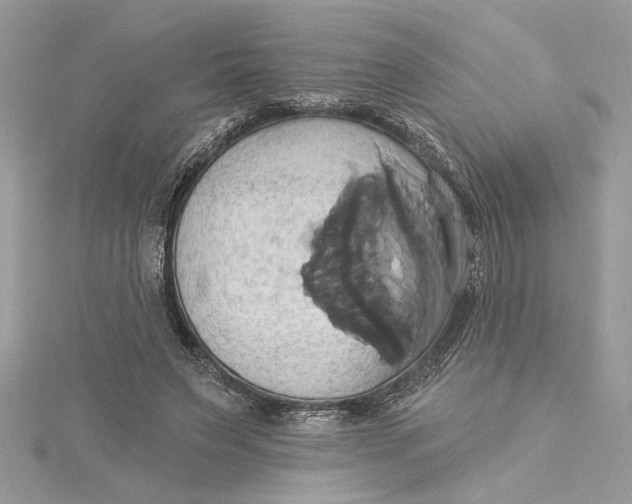 X0000115170495200911181409