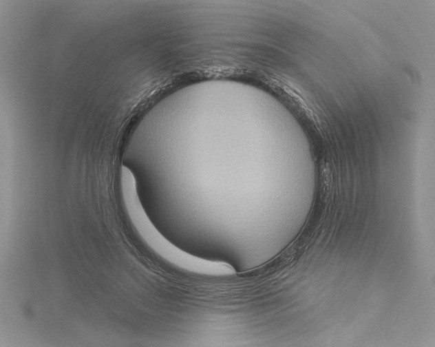 X0000115170499200911181409