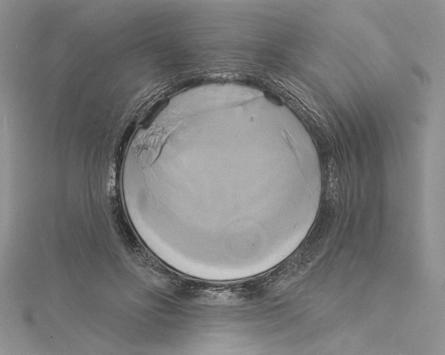 X0000115170502200911181409