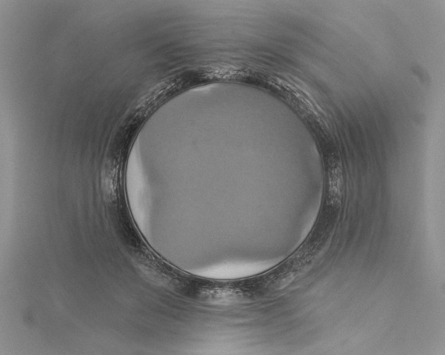 X0000115170503200911181409