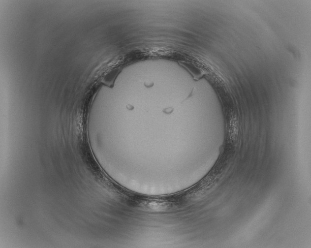 X0000115170506200911181409