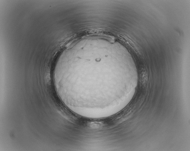 X0000115170508200911181409