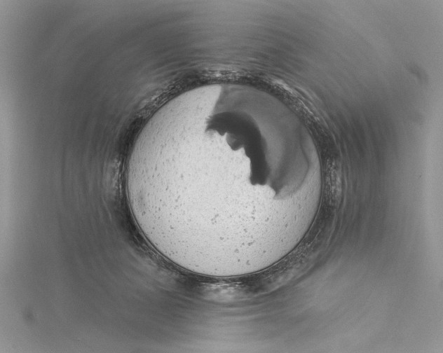 X0000115170511200911181409