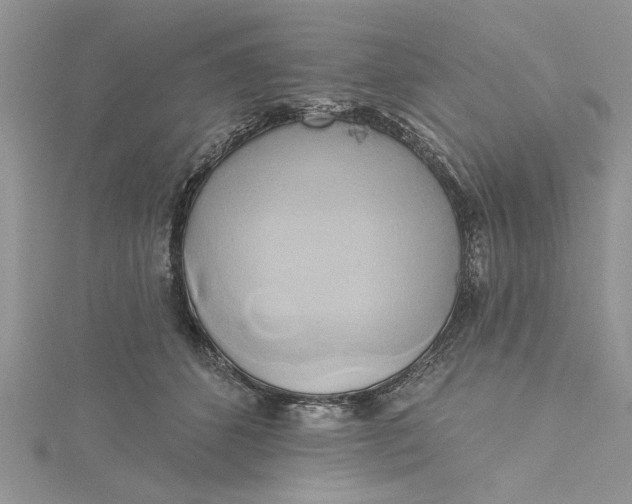 X0000115170512200911181409