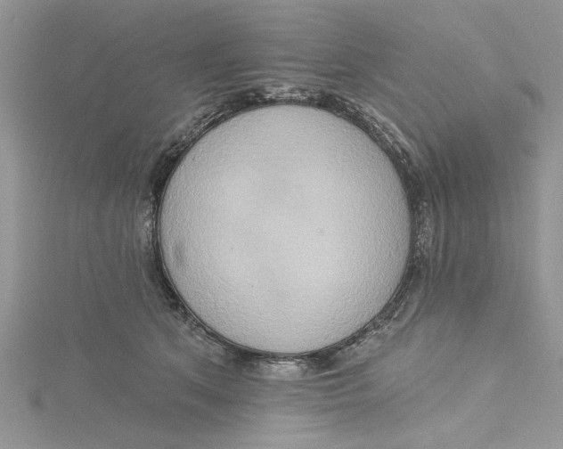 X0000115170513200911181409