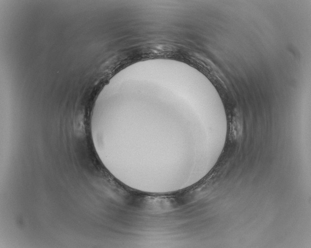 X0000115170520200911181408