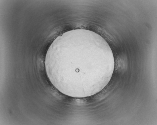 X0000115170522200911181408