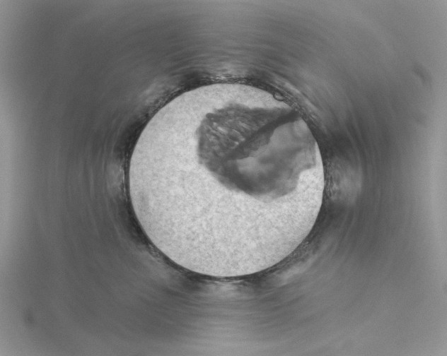 X0000115170523200911181408