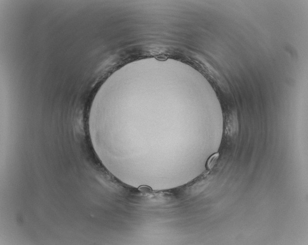 X0000115170524200911181408