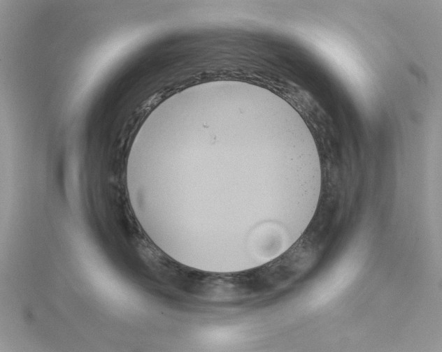 X0000115170526200911181408