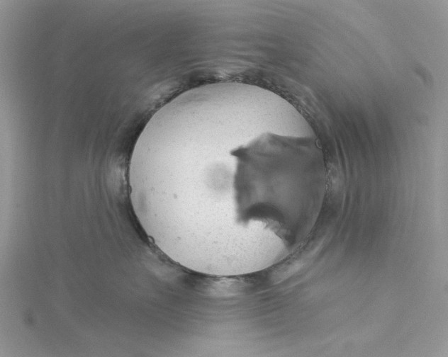 X0000115170527200911181408