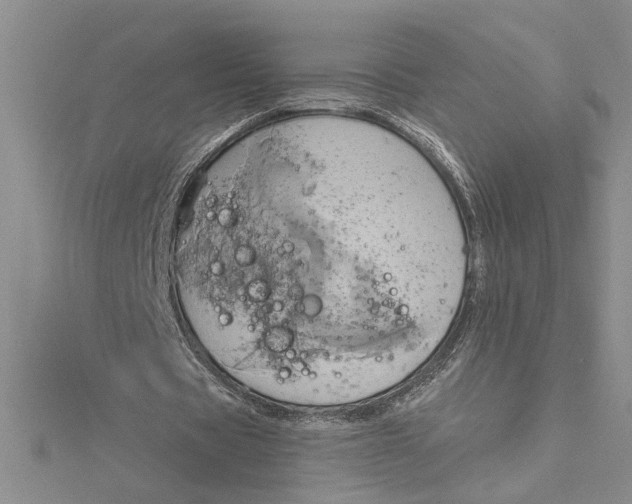 X0000115170529200911181407