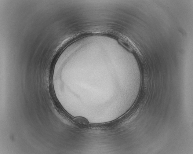 X0000115170530200911181407