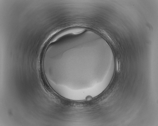 X0000115170531200911181407