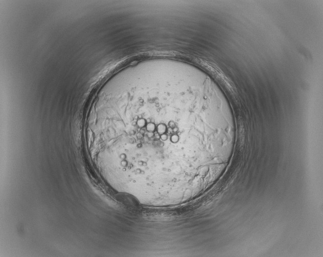 X0000115170533200911181408