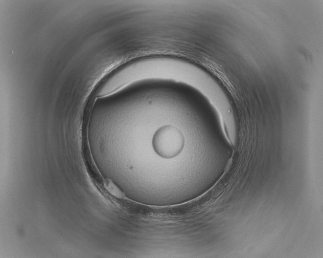 X0000115170534200911181408