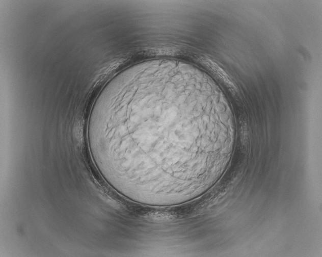 X0000115170537200911181408