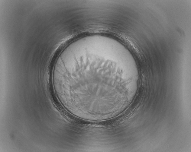 X0000115170539200911181408