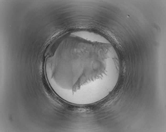 X0000115170542200911181408